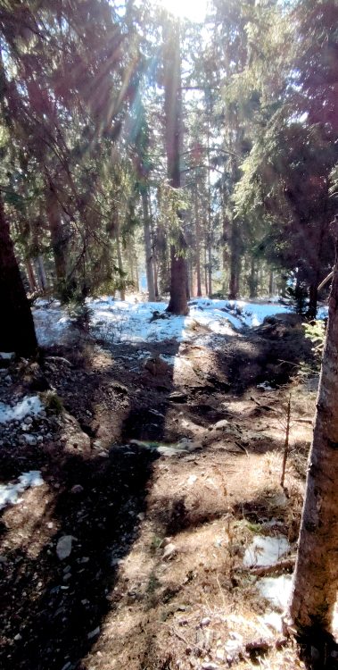 Der Gibim auf 1230 m Seehöhe am 29. Dezember...